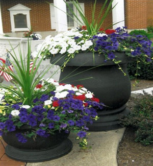 Adopt a planter sm photo 2025