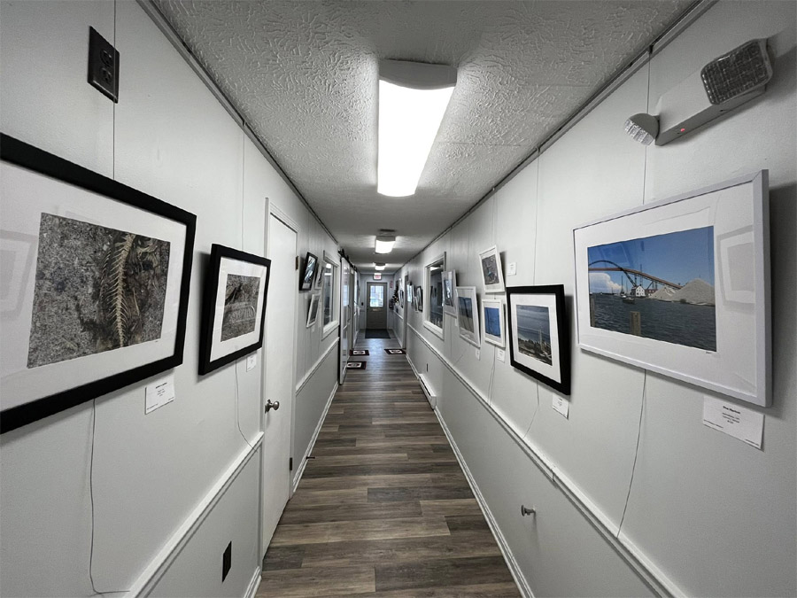 Gallery art elise mckeown 2026